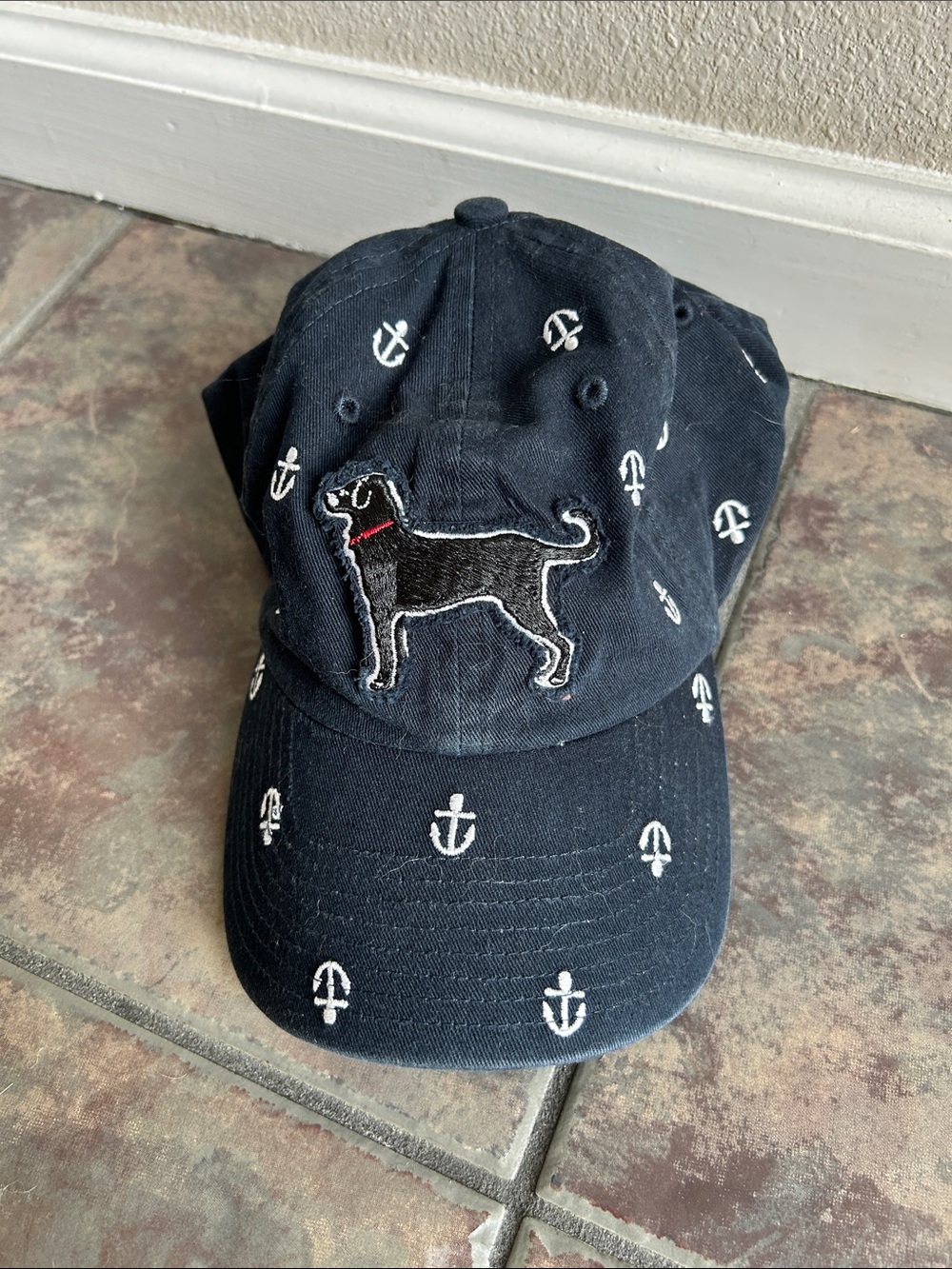 The Black Dog Ball Cap